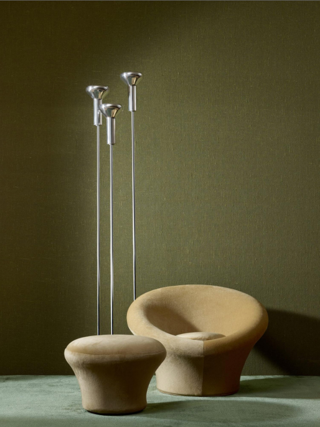 Étamine Oregano 29250